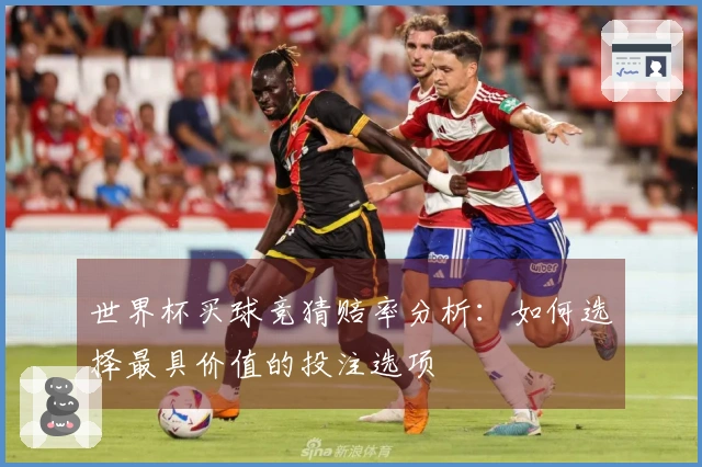 世界杯买球竞猜赔率分析：如何选择最具价值的投注选项