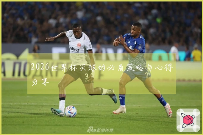 2026世界杯买球的必看策略与心得分享