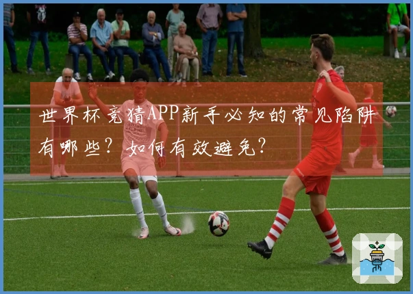 世界杯竞猜APP新手必知的常见陷阱有哪些？如何有效避免？