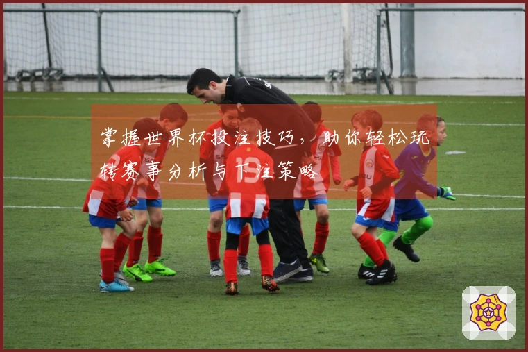 掌握世界杯投注技巧，助你轻松玩转赛事分析与下注策略