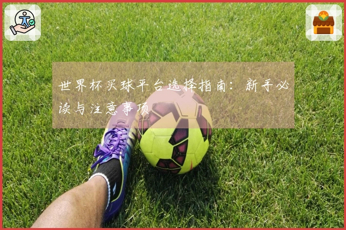 世界杯买球平台选择指南：新手必读与注意事项