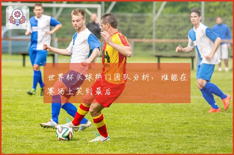 世界杯买球热门团队分析，谁能在赛场上笑到最后