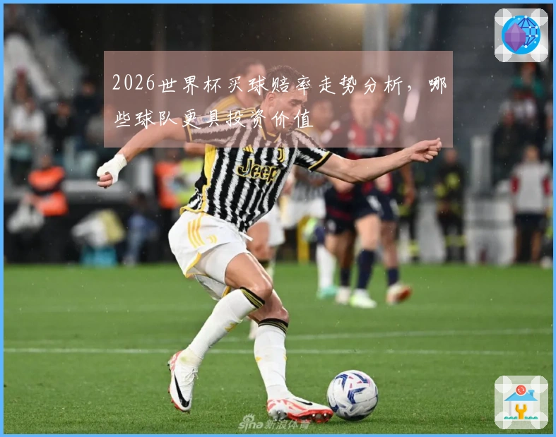 2026世界杯买球赔率走势分析，哪些球队更具投资价值