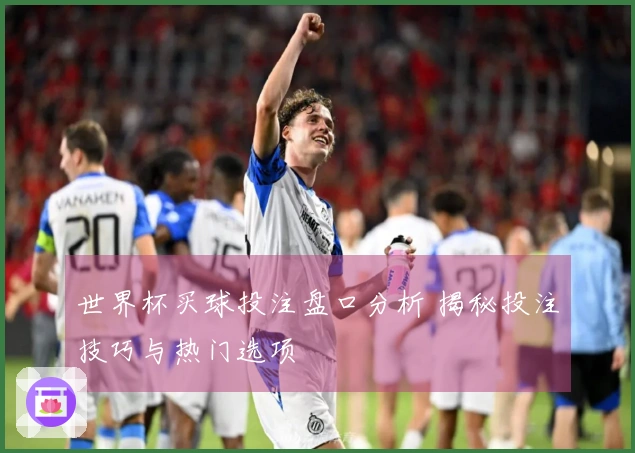 世界杯买球投注盘口分析 揭秘投注技巧与热门选项