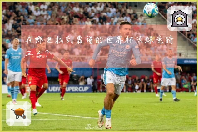 在哪里找到靠谱的世界杯买球竞猜平台？