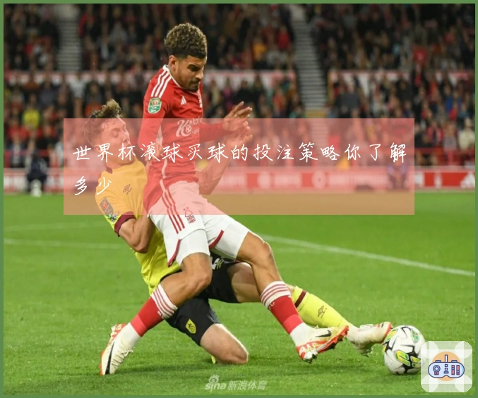 世界杯滚球买球的投注策略你了解多少