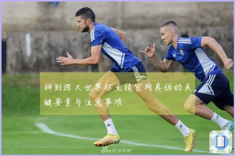 辨别烽火世界杯竞猜官网真伪的关键要素与注意事项