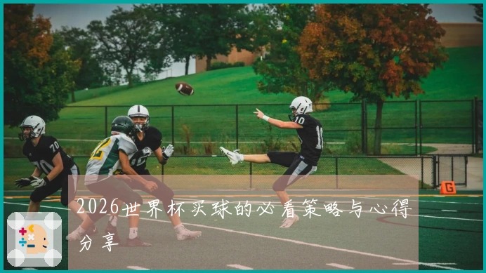 2026世界杯买球的必看策略与心得分享