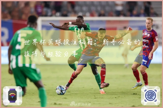世界杯买球投注秘籍:新手必备的技巧与经验分享