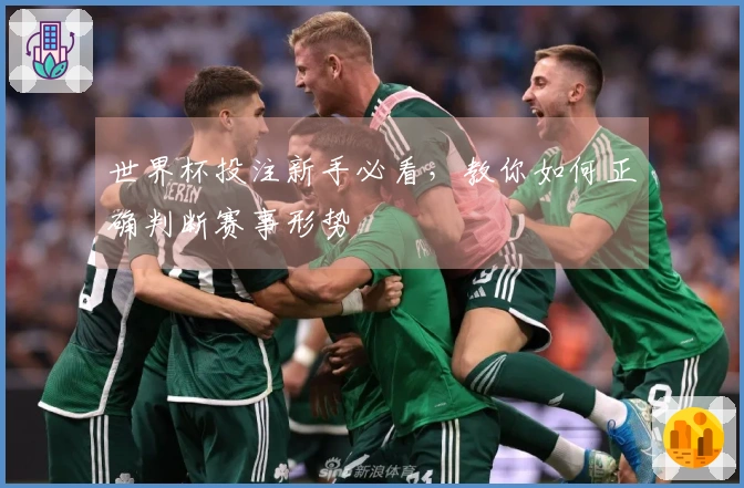 世界杯投注新手必看，教你如何正确判断赛事形势