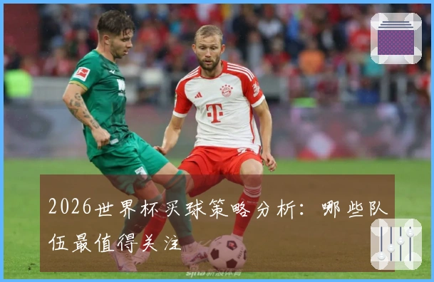 2026世界杯买球策略分析：哪些队伍最值得关注